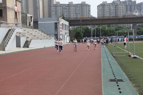 物交院上演趣味素質(zhì)拓展 體驗(yàn)式活動(dòng)策劃與精彩瞬間