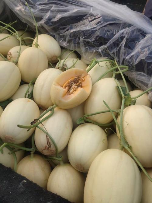 瓜果類 夏季的甜蜜與健康寶藏