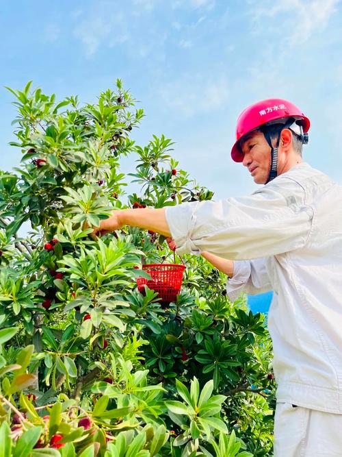 鋼筋水泥中的一抹綠 南方水泥工廠里的